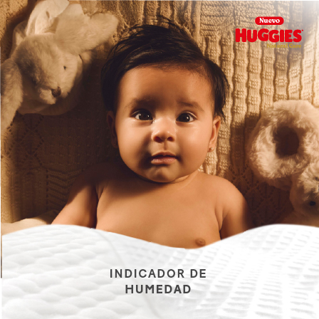 Indicador de humedad